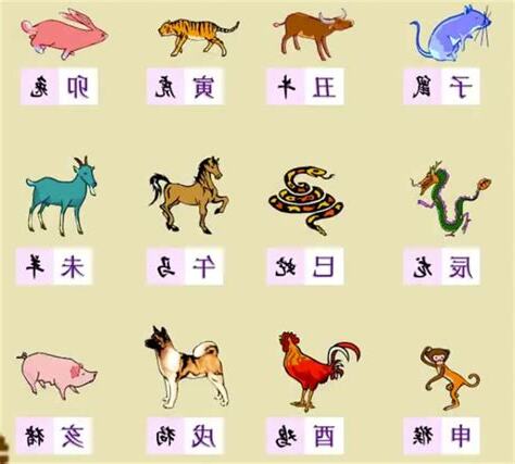 77年次 生肖